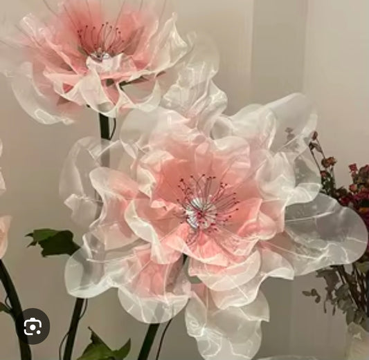 Motion Flowers