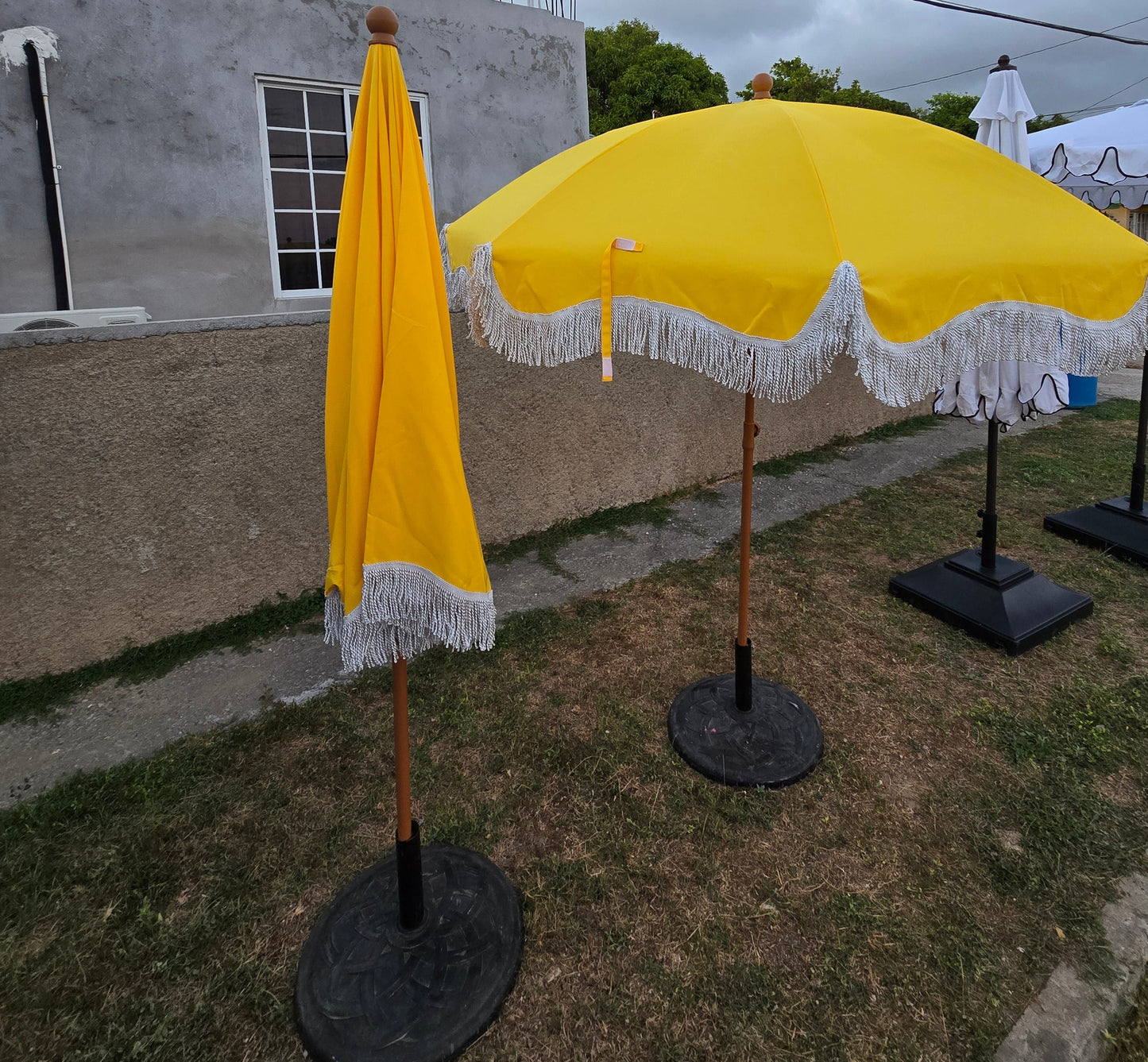 Yellow Umbrella