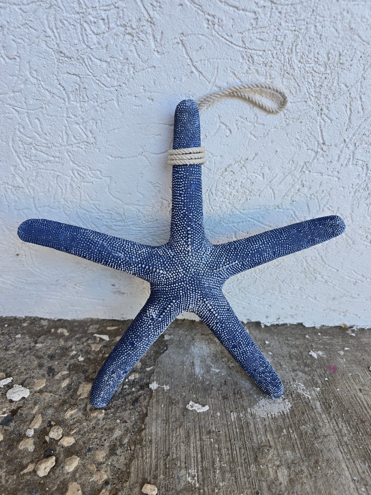 Star Fish