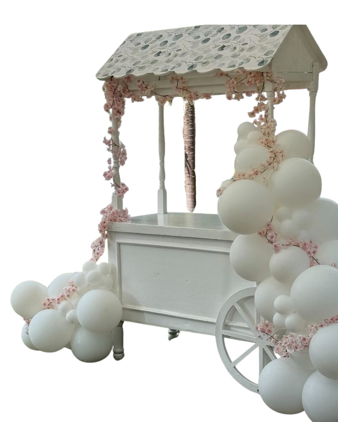 1st Edition White Cart