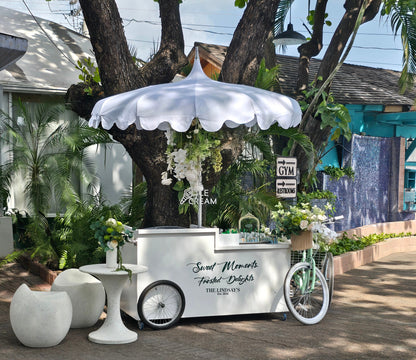 Ice Cream Cart Package