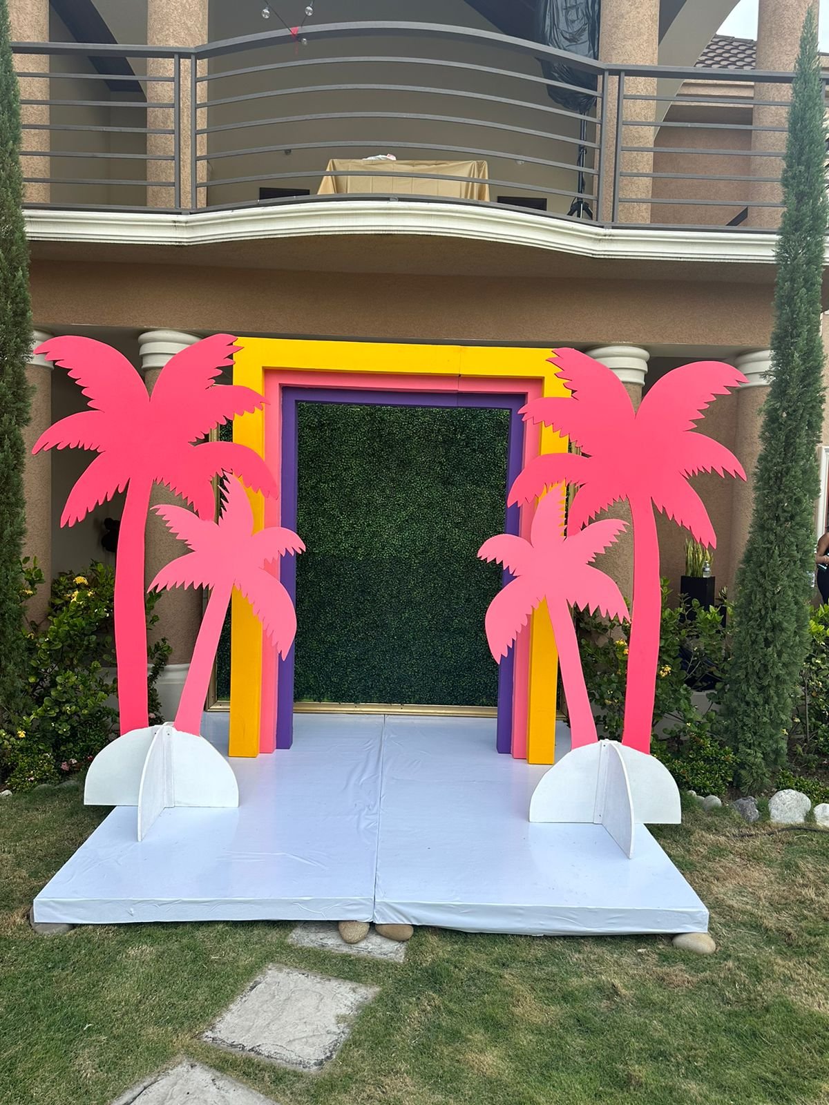 Tropical Palm Tree