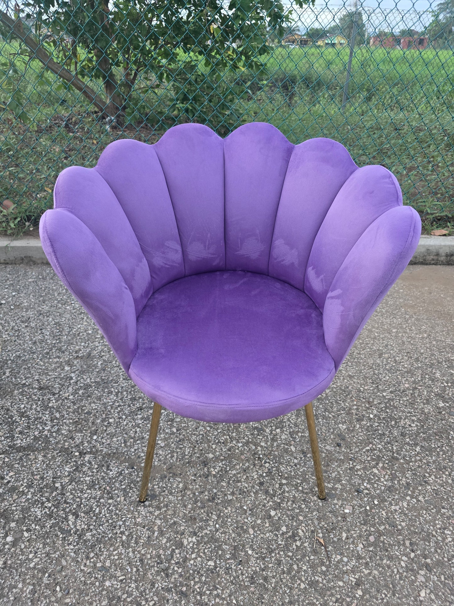 Purple Velvet Sofa