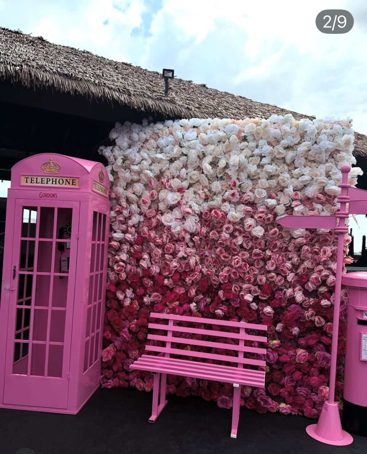 Pink Ombre Rose Backdrop