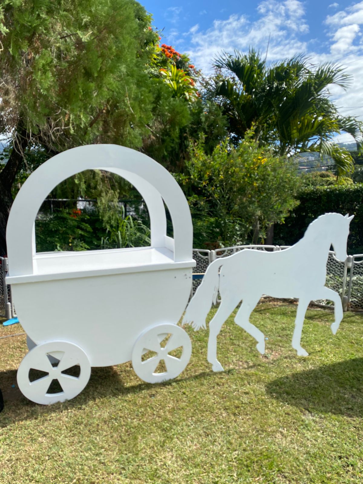 Princess Cart