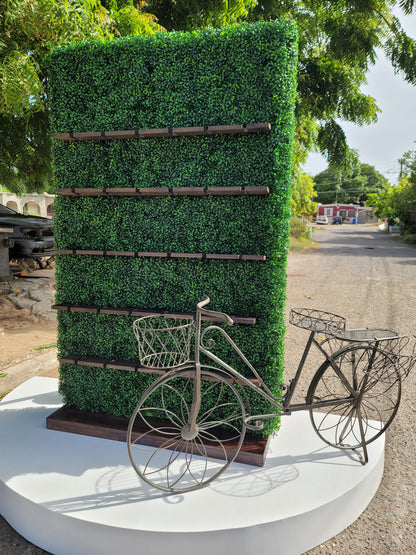Rustic Champagne Wall/Display Unit