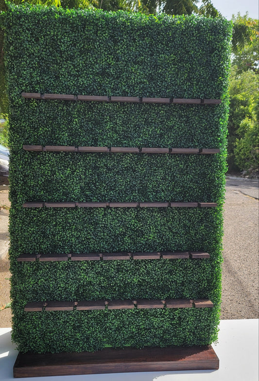 Rustic Champagne Wall/Display Unit