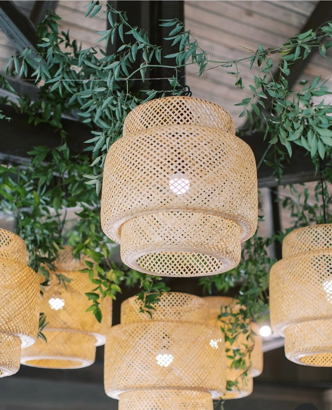 Bamboo Hanging Light
