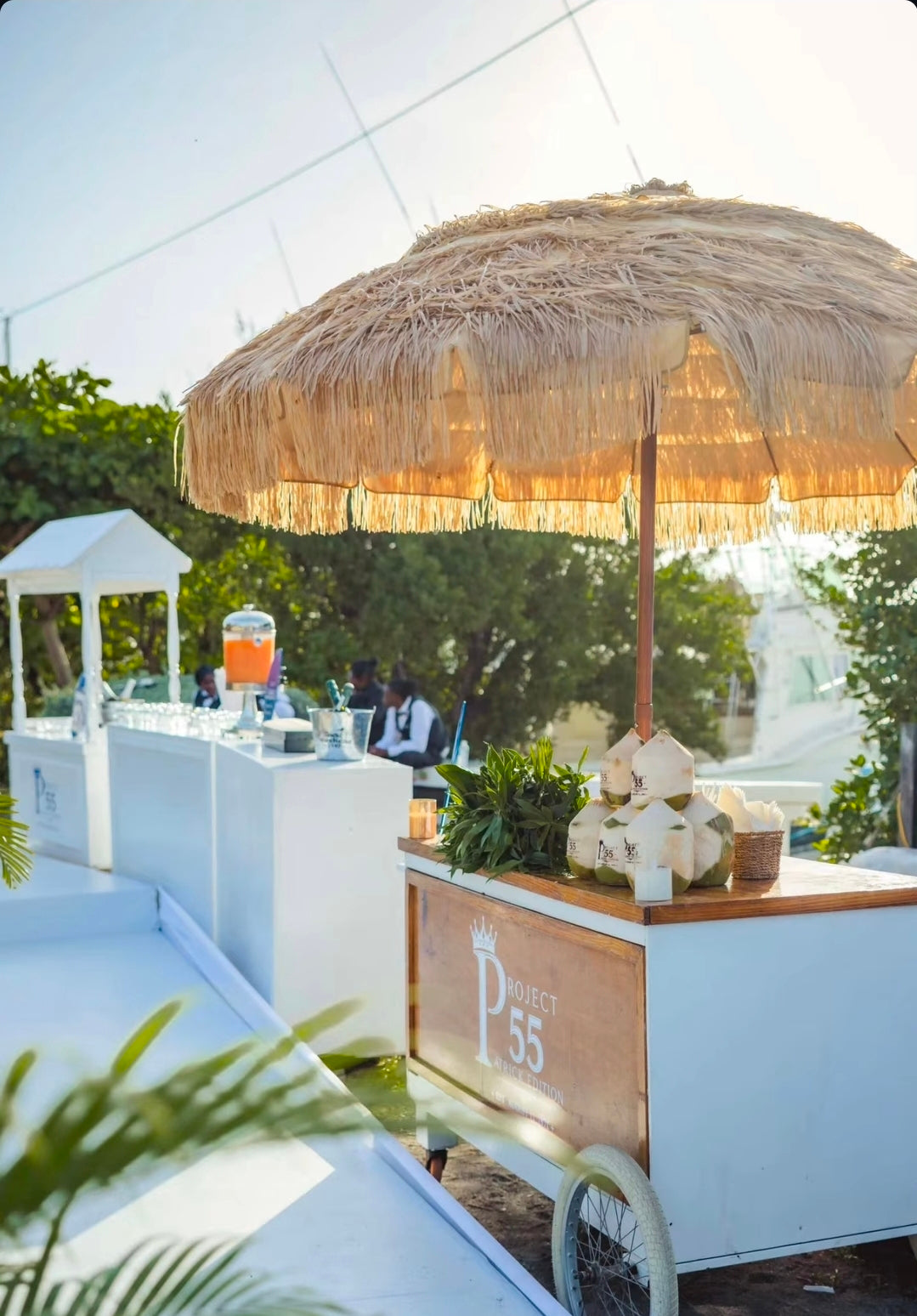 Straw Umbrella Cart