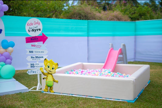 Ball Pit (kids)
