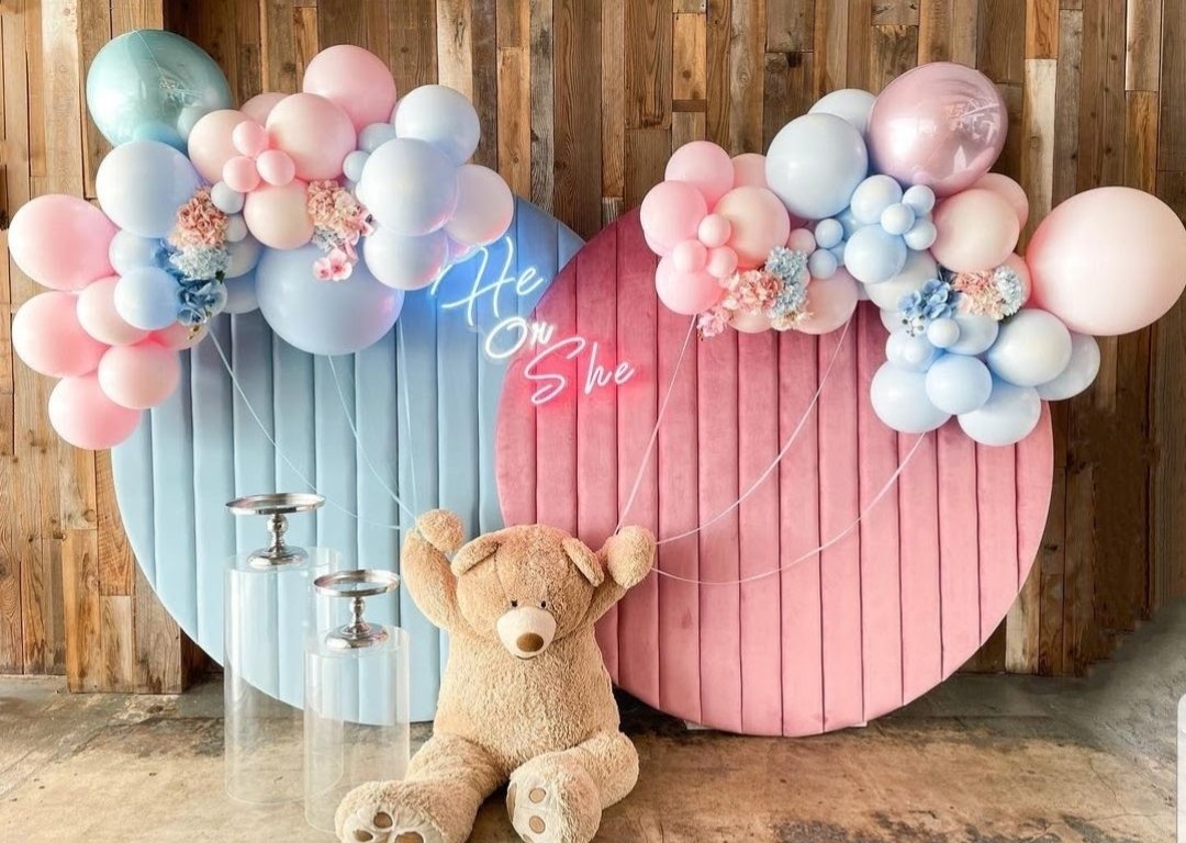 Gender Reveal Circles Backdrop