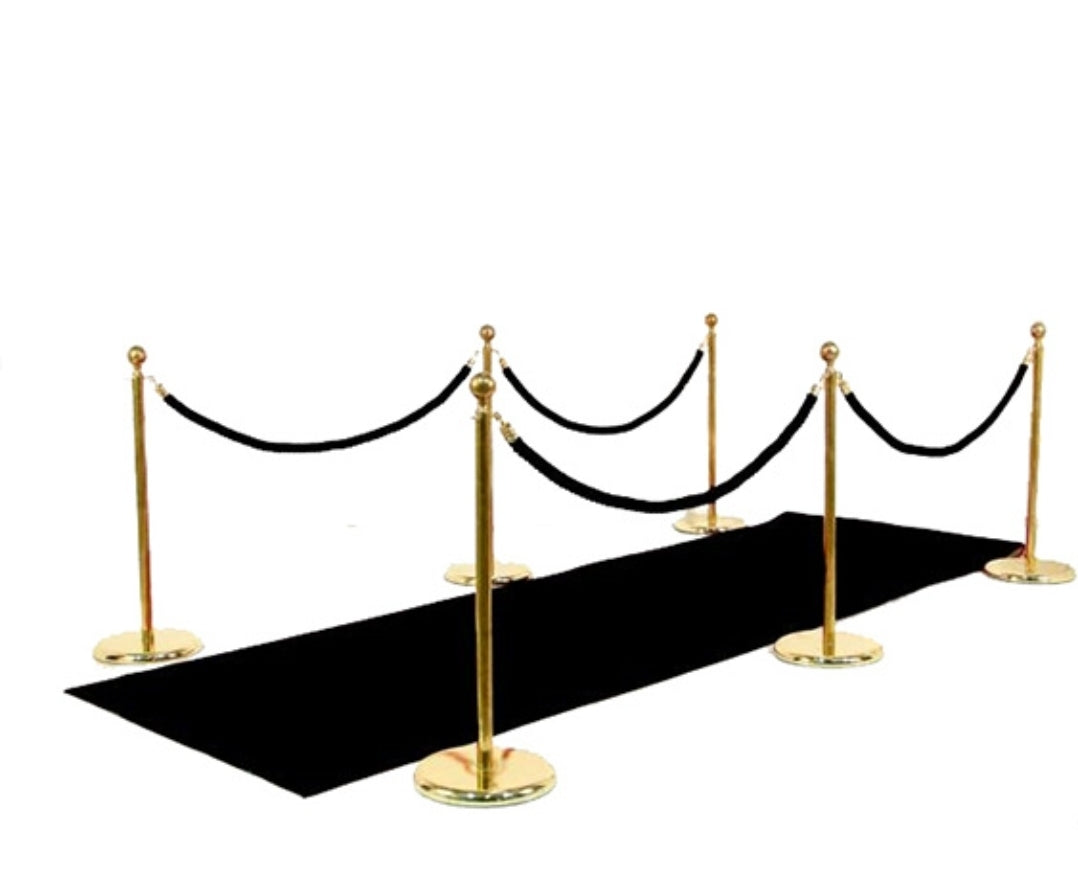 Stanchion and Rope